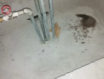 和林格尔卫生间测漏水价格明细