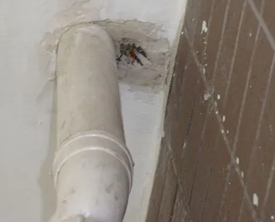 和林格尔漏水检测哪家好